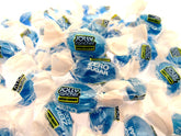 Jolly Rancher ZERO SUGAR FREE Blue Raspberry 8oz Candy Half Pound