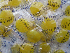 Coastal Bay Fat / SUGAR FREE Lemon 8oz Flavored Hard Candy Candies BFR