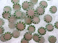 Spearmint Discs ~ Half Pound ~ Sweet Smiles Candy ~ 8oz